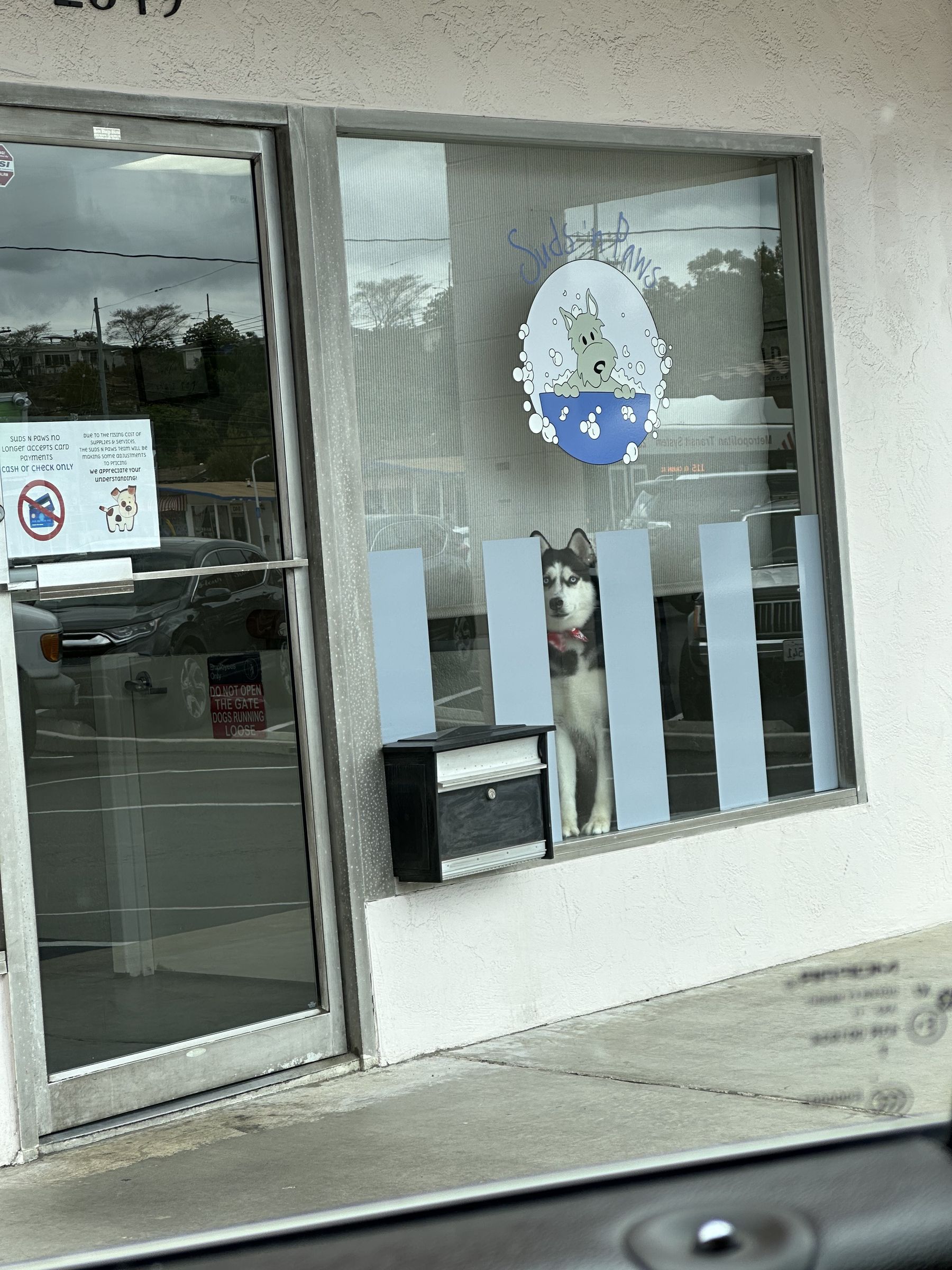 Suds N&rsquo; Paws storefront door with the bubble-bath dog logo